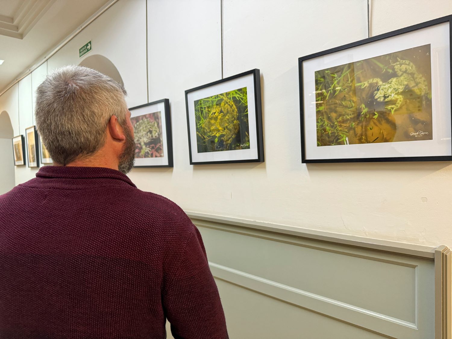 Inaugurada en Toledo la exposición Anfibios en la Biblioteca de Castilla – La Mancha