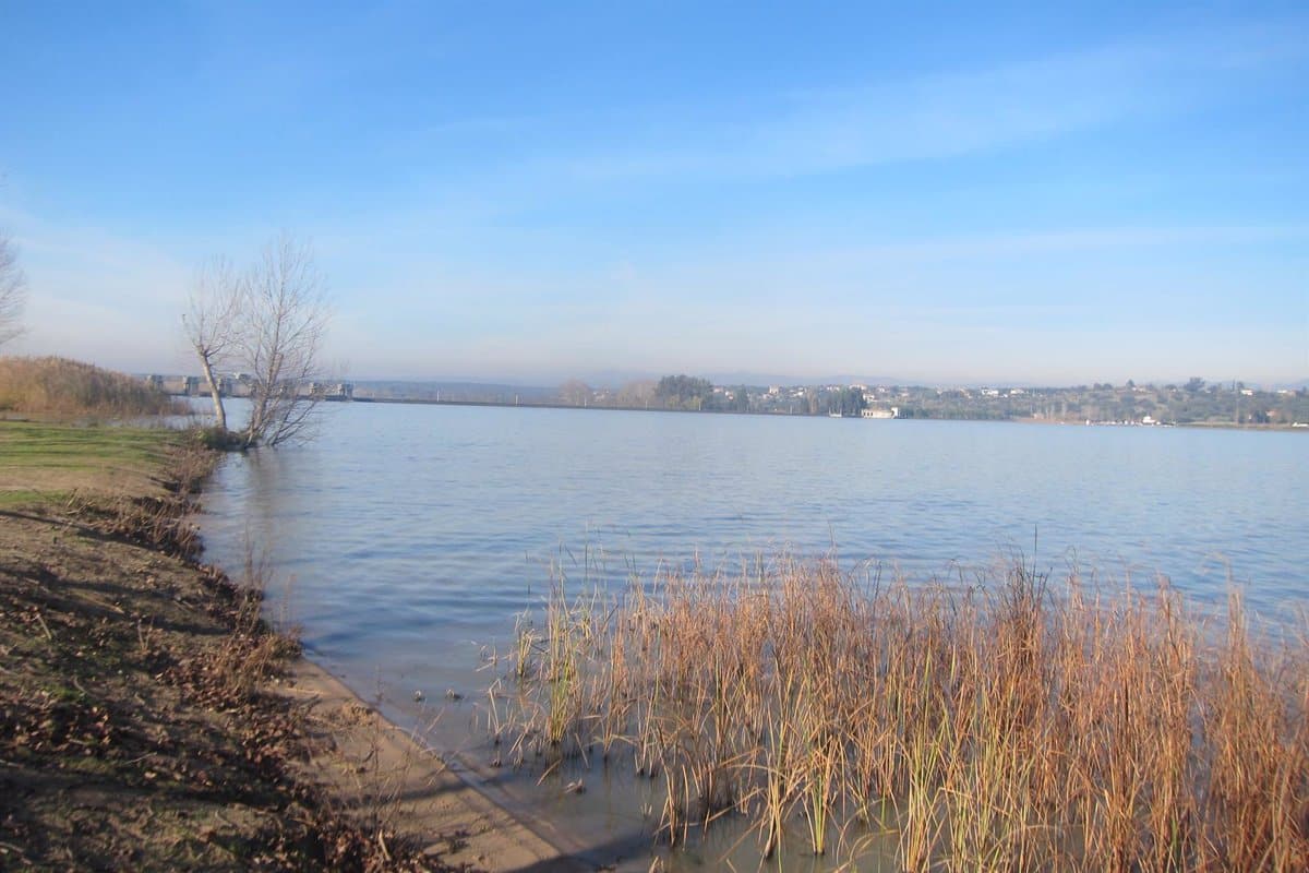 Riesgo extremo de inundación: Aumento del nivel del Alberche afecta a Talavera, Cazalegas, Escalona y Hormigos