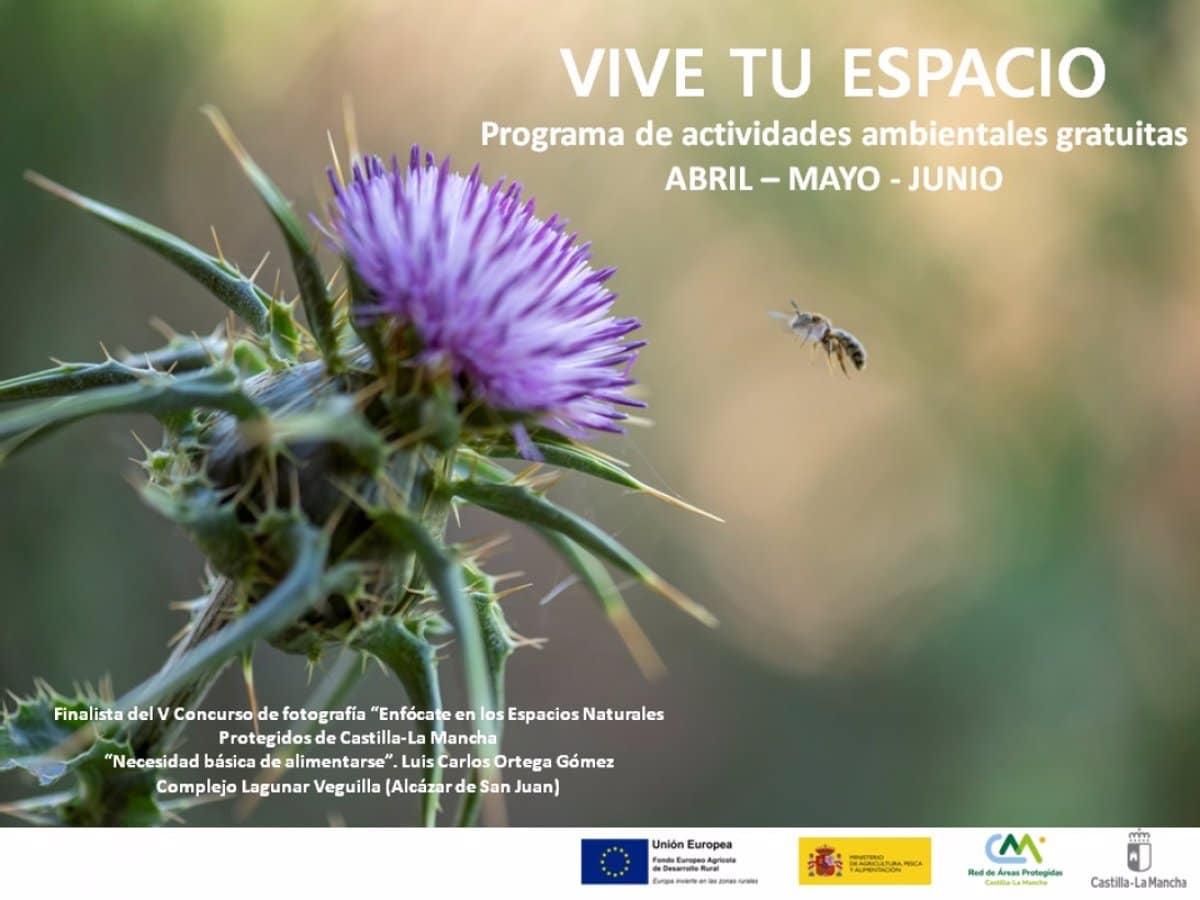 Más de 40 Actividades al Aire Libre en la Nueva Edición del Programa de Primavera ‘Vive tu Espacio’ de la Junta