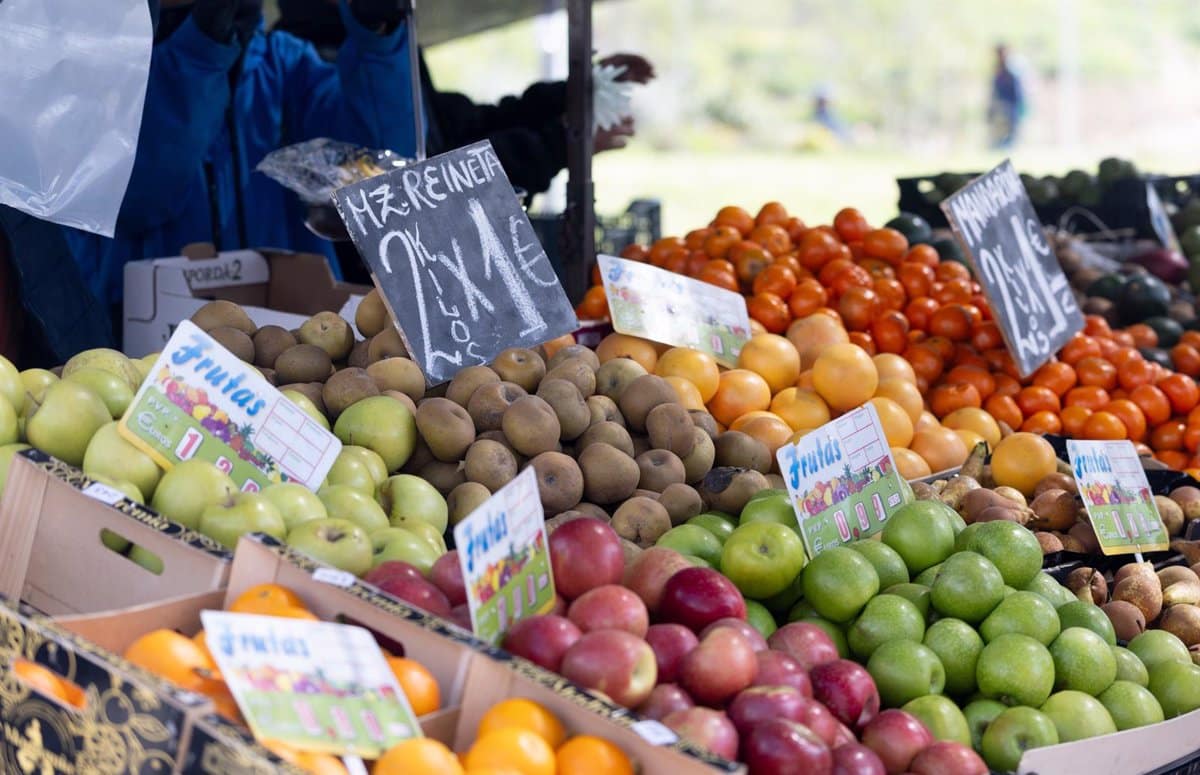 Vídeo: Familias de municipios toledanos con población de hasta 9,000 pueden solicitar ayudas para alquiler, alimentación o facturas.