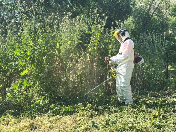 El Ayuntamiento inicia una campaña de desbroce en todos los barrios para minimizar riesgos de incendios y embellecer áreas verdes.