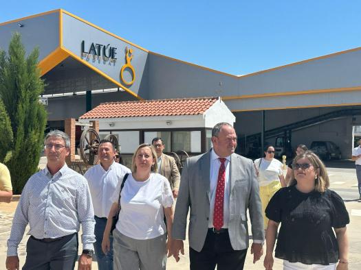 El Gobierno de Castilla-La Mancha destina cerca de 20 millones a la reestructuración de 4,000 hectáreas de viñedo.