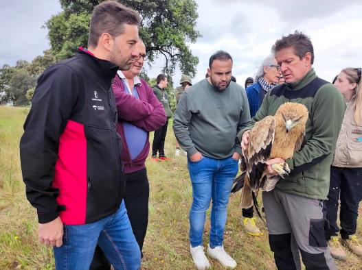 El Gobierno regional reintroduce un águila imperial en su hábitat natural en Toledo tras su recuperación.