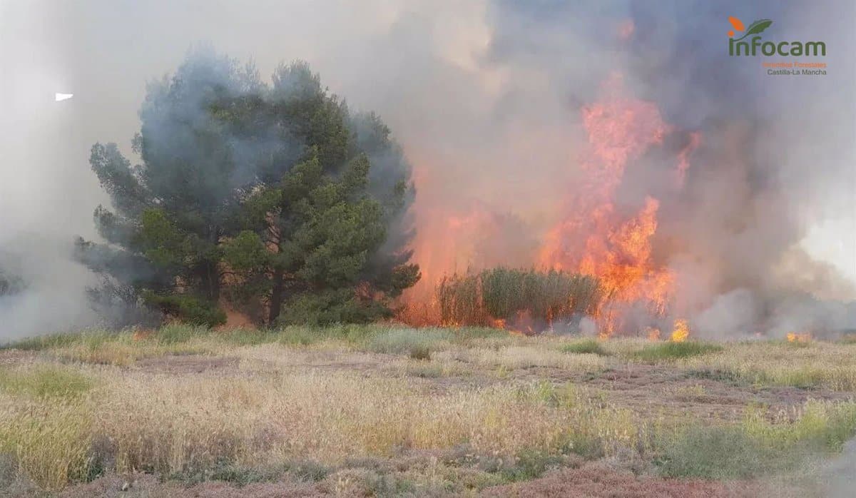 Incendio forestal controlado en La Puebla de Almuradiel, Toledo