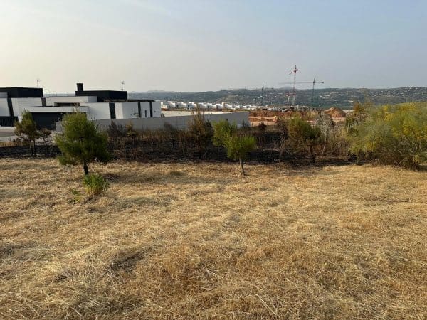 El Ayuntamiento ha realizado la limpieza y desbroce de la zona afectada por el incendio en La Legua.