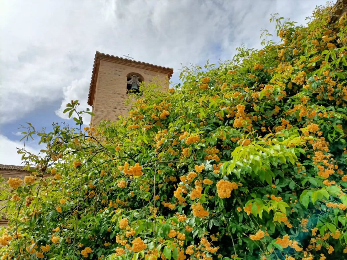 El Certamen de Patios del Corpus de Toledo de 2023 se expande con la inclusión de tres nuevos jardines, sumando un total de 43 espacios.