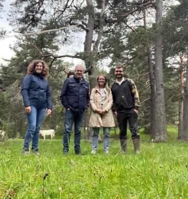 El Gobierno regional asigna 151.000 euros para salvaguardar el ganado doméstico de los ataques de lobos en Guadalajara.