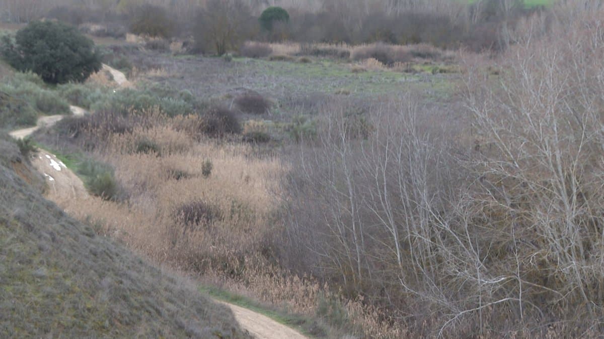 La policía reinicia la búsqueda de los restos de la víctima del ‘Rey del Cachopo’ en Carranque (Toledo)