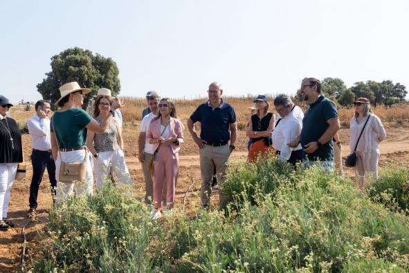 El Gobierno regional promueve el guayule: un cultivo resiliente al cambio climático y adaptable a distintos tipos de suelo.