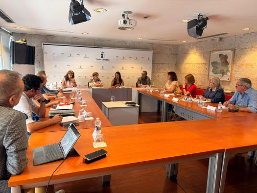 El Gobierno de Castilla-La Mancha fomenta la inclusión social y enfrenta desafíos junto a la Mesa del Tercer Sector de la región.