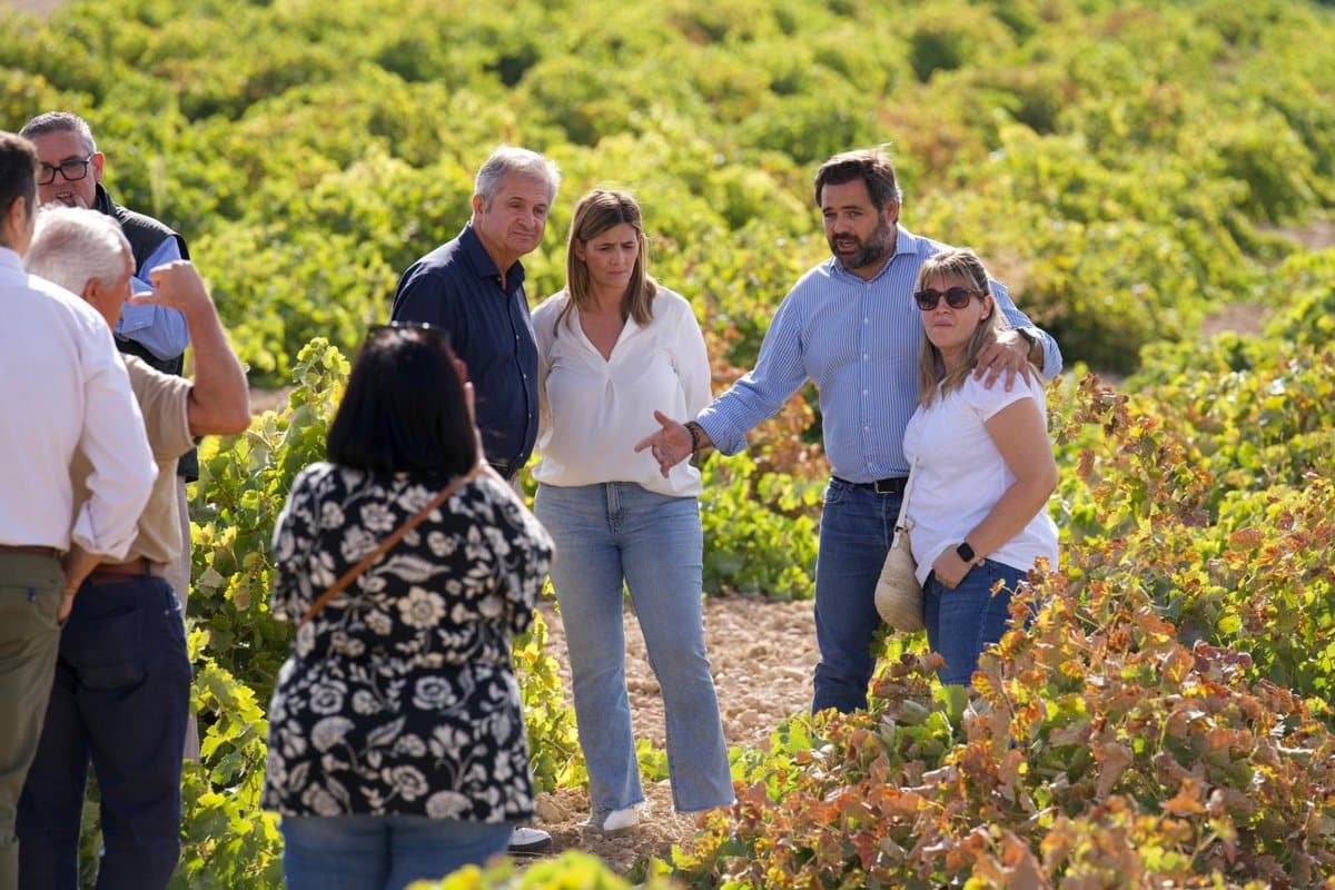 PP C-LM denuncia la «persecución» al sector agrícola y demanda soluciones «urgentes» para rescatar la vendimia.