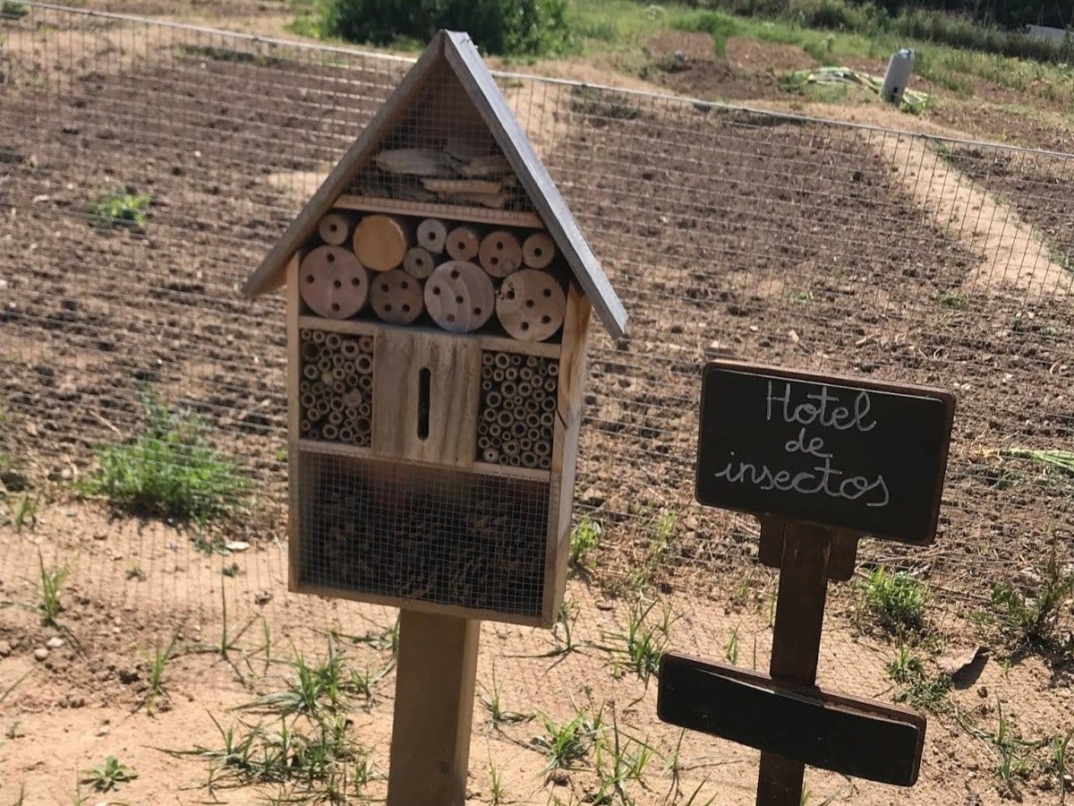 Un innovador programa de educación ambiental promoverá el vínculo de los estudiantes con la naturaleza en la Diputación de Toledo.