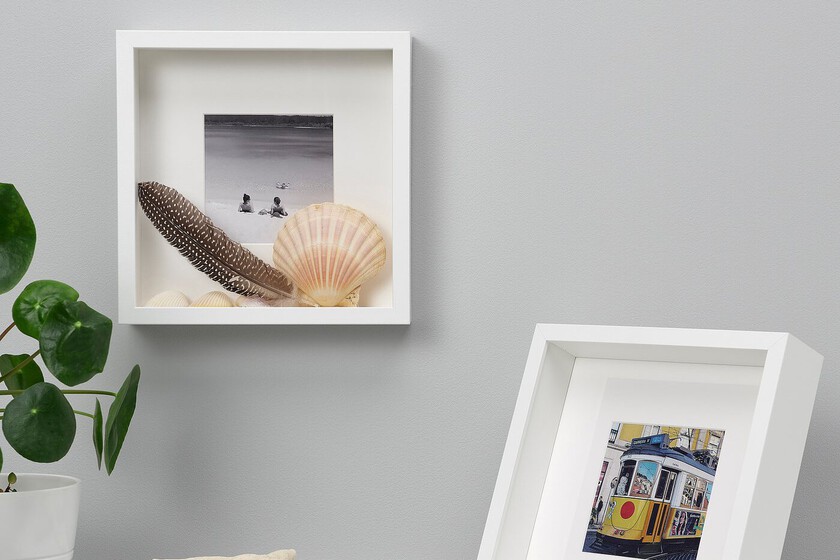 Convierte un Cuadro de Ikea en una Creación Artística para Tus Plantas