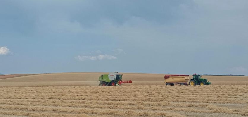 El Gobierno regional resalta el avance en la regulación de medidas preventivas contra incendios forestales basadas en criterios técnicos.