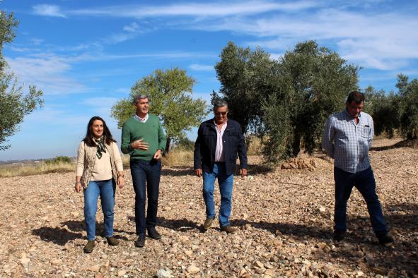 El Gobierno regional asigna 84 millones de euros del anticipo de la PAC 2025 a los agricultores y ganaderos de Toledo.