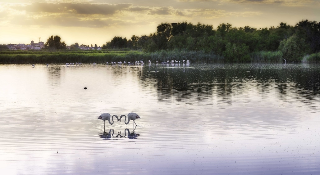 El GDR Dulcinea participa en el proyecto de cooperación ‘Reserva de la Biosfera de la Mancha Húmeda II’