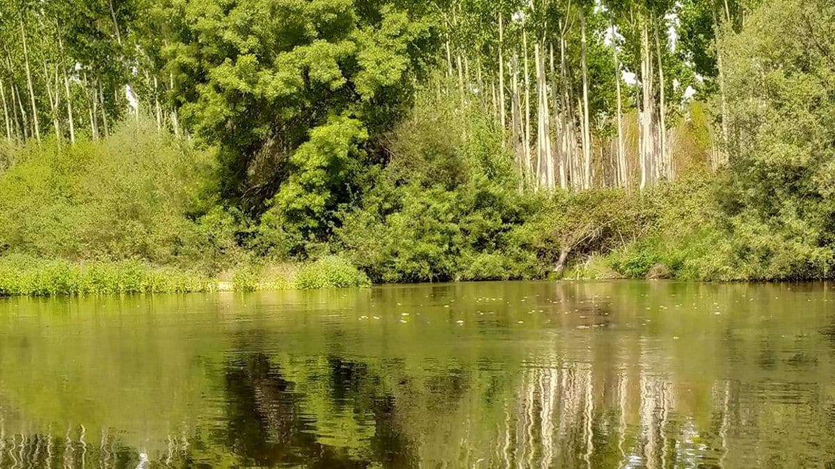 Ecologistas denuncian vertidos contaminantes al río Alberche procedentes de depuradoras obsoletas en Santa Cruz del Retamar