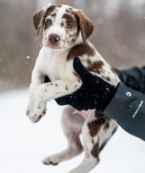 Castilla-La Mancha incrementa el programa Moves III a más de 36 millones de euros para atender todas las solicitudes.