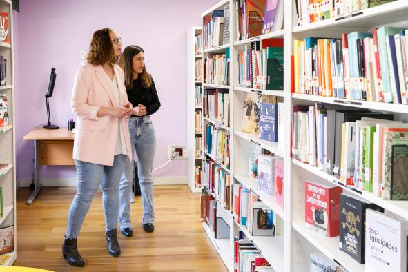 Sugerencias Literarias con Perspectiva de Género para Celebrar estas Fiestas: Boletín del Instituto de la Mujer