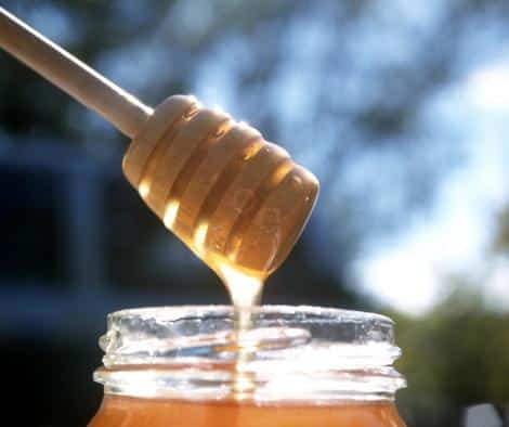 Convocatoria de subvenciones para la apicultura en 2026: el Gobierno regional invertirá 1,4 millones de euros.