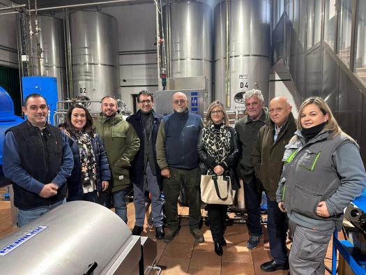 Delegada de Agricultura resalta el impacto de las lluvias en el inicio de la campaña de aceitunas