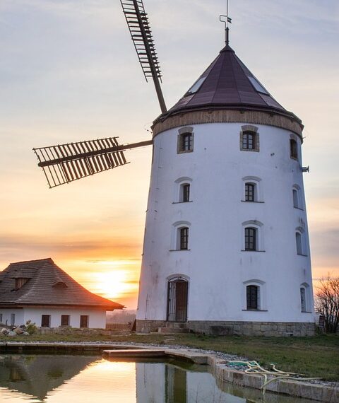 Castilla-La Mancha avanza en su estrategia regional para combatir la resistencia a los antibióticos.