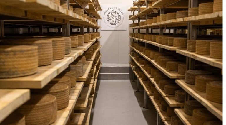Un queso manchego toledano, reconocido como el mejor curado DOP en los Gran Selección Campo y Alma