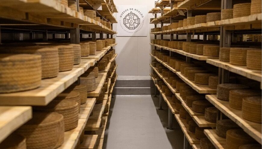 Un queso manchego toledano, reconocido como el mejor curado DOP en los Gran Selección Campo y Alma