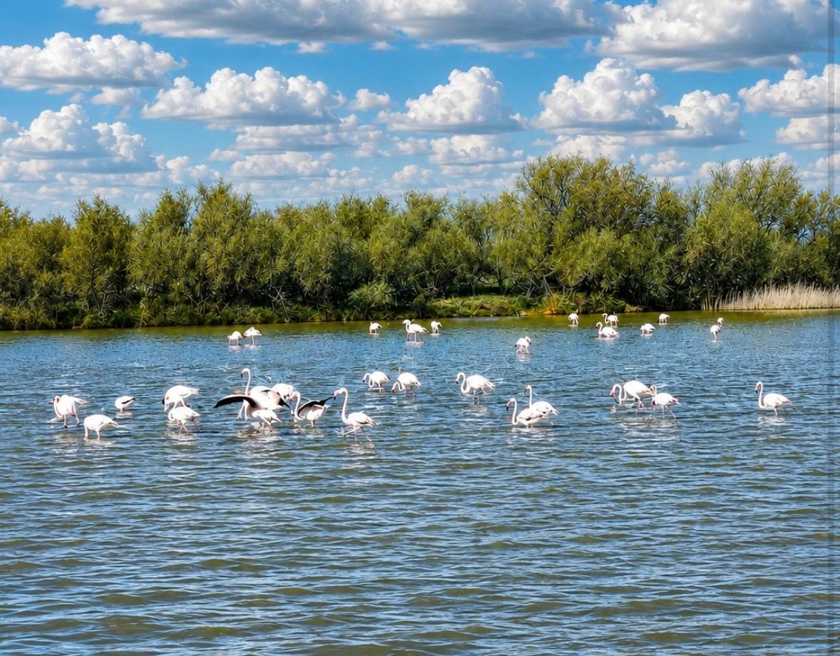 La Casa de la Cultura acogió la entrega de los premios del Concurso de Fotografía de la Naturaleza