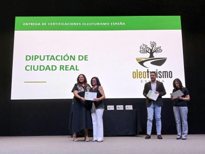 Ciudad Real se Afianza como Destino de Oleoturismo, Potenciando el Aceite de Oliva como Motor Económico